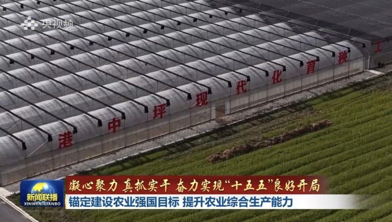 AG��zhenren������(���ʡ�ƽ̨)AG�ٷ���վ