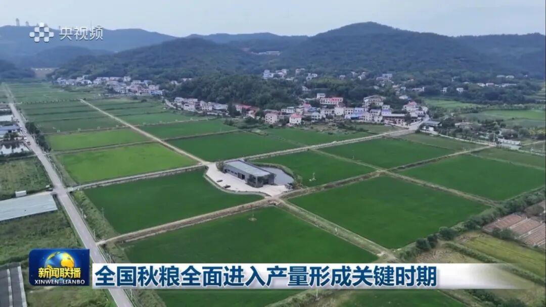 AG��zhenren������(���ʡ�ƽ̨)AG�ٷ���վ